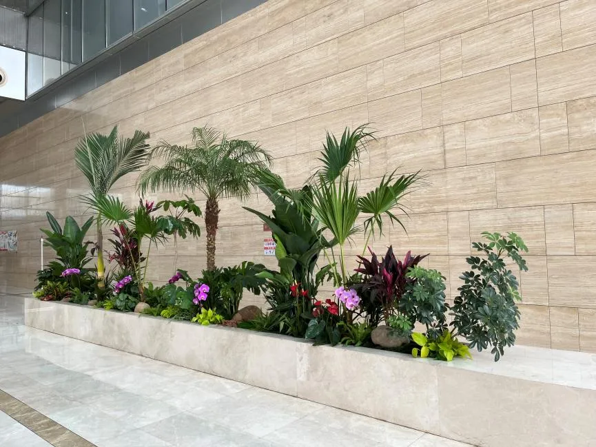 慈溪花木租摆，服务贴心，为你的空间增添绿意！